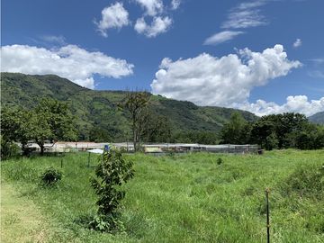 FINCA PRODUCTIVA  PISCCOLA CERCA A PORCE VEREDA EL CANEY  SANTA ROSA