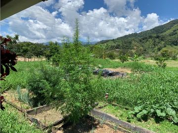 FINCA PRODUCTIVA  PISCCOLA CERCA A PORCE VEREDA EL CANEY  SANTA ROSA