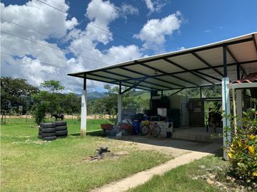 FINCA PRODUCTIVA  PISCCOLA CERCA A PORCE VEREDA EL CANEY  SANTA ROSA