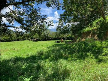 FINCA PRODUCTIVA  PISCCOLA CERCA A PORCE VEREDA EL CANEY  SANTA ROSA