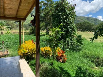 FINCA PRODUCTIVA  PISCCOLA CERCA A PORCE VEREDA EL CANEY  SANTA ROSA