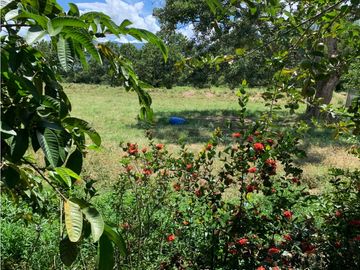 FINCA PRODUCTIVA  PISCCOLA CERCA A PORCE VEREDA EL CANEY  SANTA ROSA