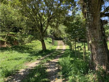 FINCA PRODUCTIVA  PISCCOLA CERCA A PORCE VEREDA EL CANEY  SANTA ROSA