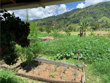 FINCA PRODUCTIVA  PISCCOLA CERCA A PORCE VEREDA EL CANEY  SANTA ROSA