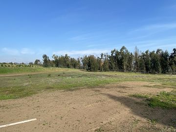 CONDOMINIO CAMPO VIEJO, MAITENCILLO