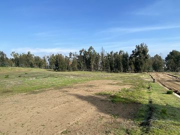 CONDOMINIO CAMPO VIEJO, MAITENCILLO