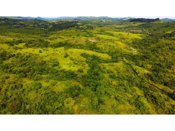 Venta de finca en las Minas Herrera