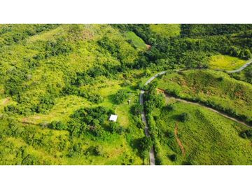 Venta de finca en las Minas Herrera