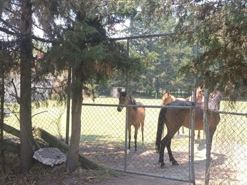 TERRENO EN VENTA  CHIMALIAPAN, OCOYOACAC