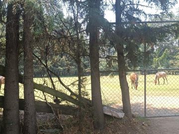 TERRENO EN VENTA  CHIMALIAPAN, OCOYOACAC