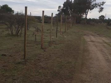 Parcela en Venta en Cauquenes
