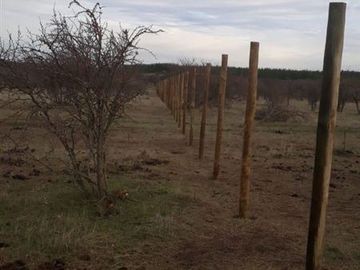 Parcela en Venta en Cauquenes