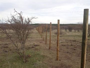 Parcela en Venta en Cauquenes
