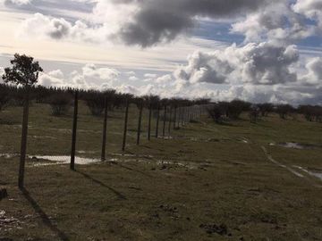 Parcela en Venta en Cauquenes