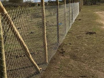 Parcela en Venta en Cauquenes