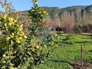 Casa con Parcela en Rauco: ¡Una Oportunidad Única!