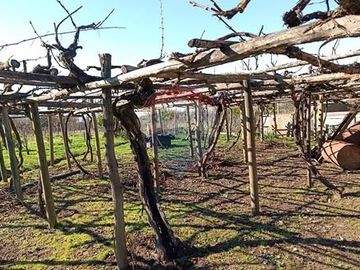 Casa con Parcela en Rauco: ¡Una Oportunidad Única!