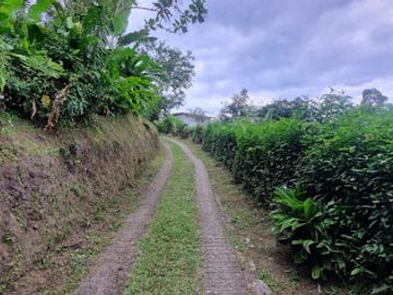 VENTA de FINCAS en PEREIRA