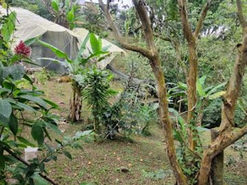 VENTA de FINCAS en PEREIRA