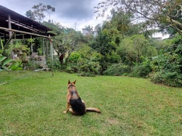 VENTA de FINCAS en PEREIRA