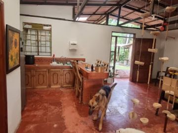 VENTA de FINCAS en PEREIRA