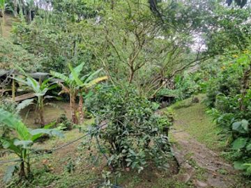 VENTA de FINCAS en PEREIRA