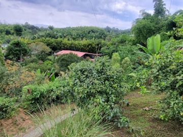 VENTA de FINCAS en PEREIRA
