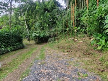 VENTA de FINCAS en PEREIRA