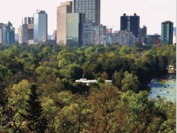 Departamento Pent House  en Venta  en Polanco V Sección, Miguel Hidalgo