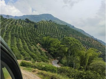 SE VENDE FINCA BARRAGAN QUINDIO