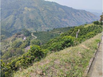 SE VENDE FINCA BARRAGAN QUINDIO