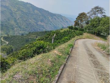 SE VENDE FINCA BARRAGAN QUINDIO