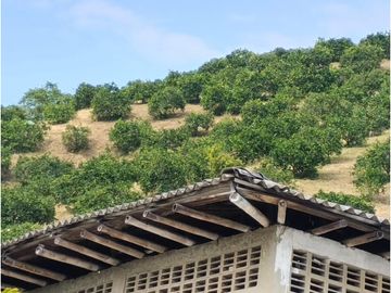 SE VENDE FINCA BARRAGAN QUINDIO