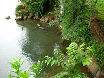 VENTA DE FINCA EN COLON EN ESCOBAL COSTA ABAJO DE PROVINCIA DE COLON