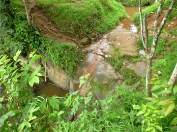 VENTA DE FINCA EN COLON EN ESCOBAL COSTA ABAJO DE PROVINCIA DE COLON
