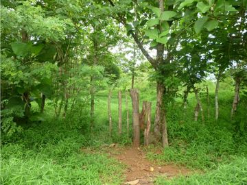 VENTA DE FINCA EN COLON EN ESCOBAL COSTA ABAJO DE PROVINCIA DE COLON