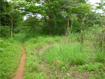 VENTA DE FINCA EN COLON EN ESCOBAL COSTA ABAJO DE PROVINCIA DE COLON