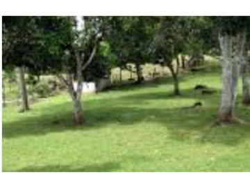 VENTA DE FINCA EN SANTA RITA, HERMOSA Y VISTAS INIGUALABLES, REMATE