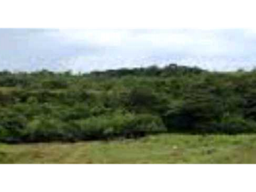 VENTA DE FINCA EN SANTA RITA, HERMOSA Y VISTAS INIGUALABLES, REMATE