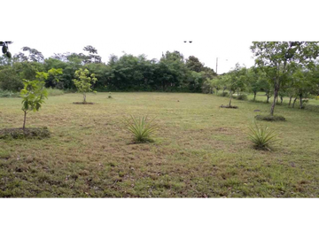 VENTA DE FINCA EN SANTA RITA, HERMOSA Y VISTAS INIGUALABLES, REMATE