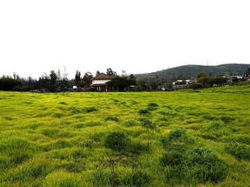 Sitio en Venta en Quebrada Lo Hidalgo - VILLA ALEMANA