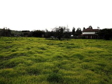 Sitio en Venta en Quebrada Lo Hidalgo - VILLA ALEMANA