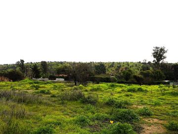 Sitio en Venta en Quebrada Lo Hidalgo - VILLA ALEMANA