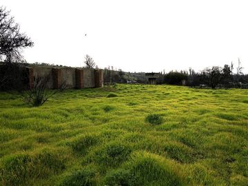 Sitio en Venta en Quebrada Lo Hidalgo - VILLA ALEMANA