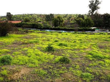 Sitio en Venta en Quebrada Lo Hidalgo - VILLA ALEMANA