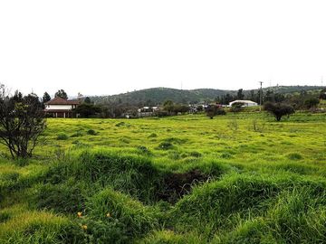 Sitio en Venta en Quebrada Lo Hidalgo - VILLA ALEMANA