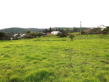 Sitio en Venta en Quebrada Lo Hidalgo - VILLA ALEMANA