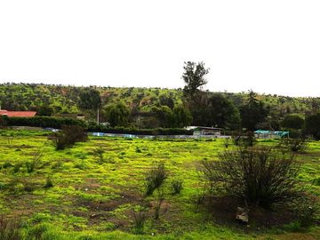 Sitio en Venta en Quebrada Lo Hidalgo - VILLA ALEMANA
