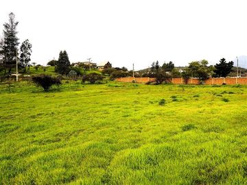 Sitio en Venta en Quebrada Lo Hidalgo - VILLA ALEMANA