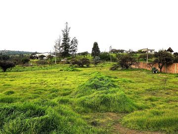 Sitio en Venta en Quebrada Lo Hidalgo - VILLA ALEMANA